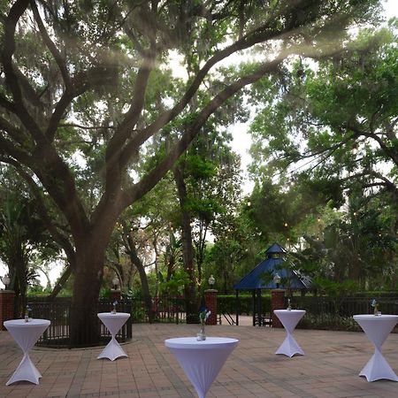 Hilton Garden Inn Tampa East Brandon Mango Экстерьер фото