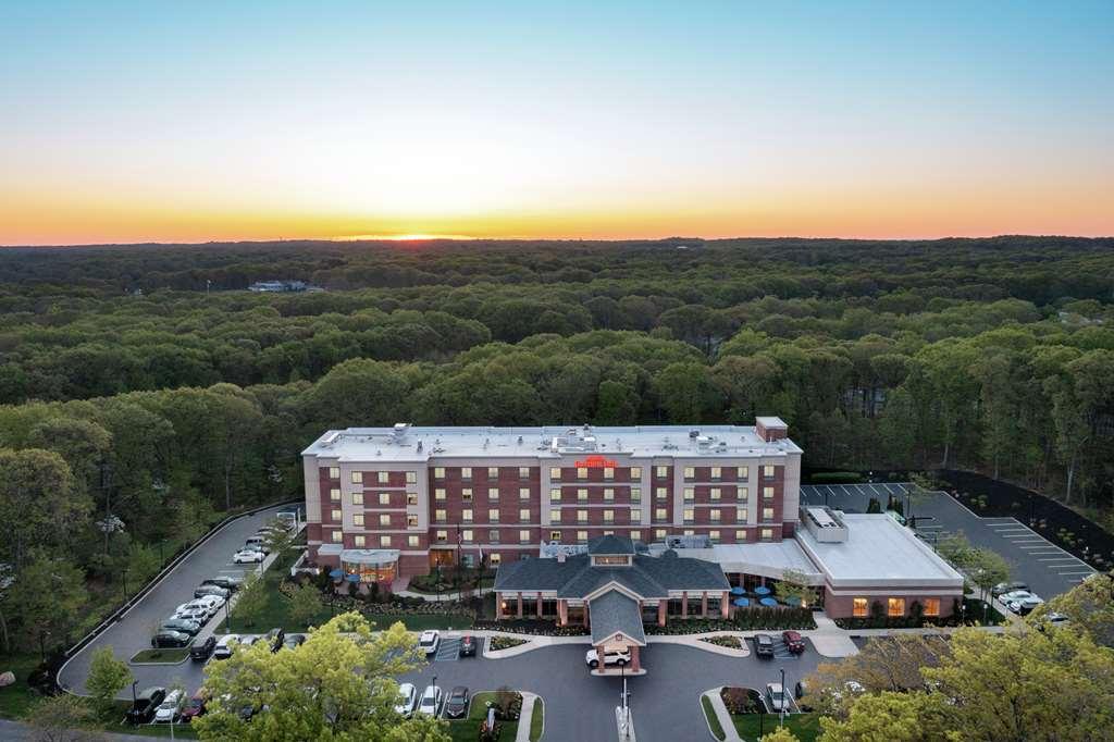Hilton Garden Inn Tampa East Brandon Mango Экстерьер фото