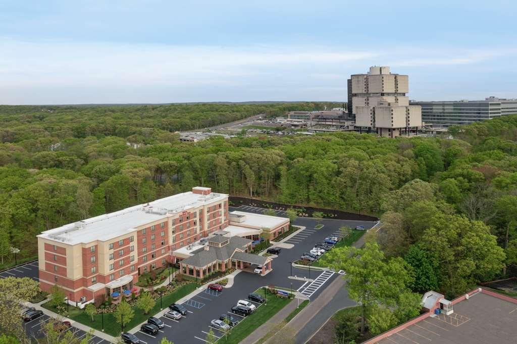 Hilton Garden Inn Tampa East Brandon Mango Экстерьер фото