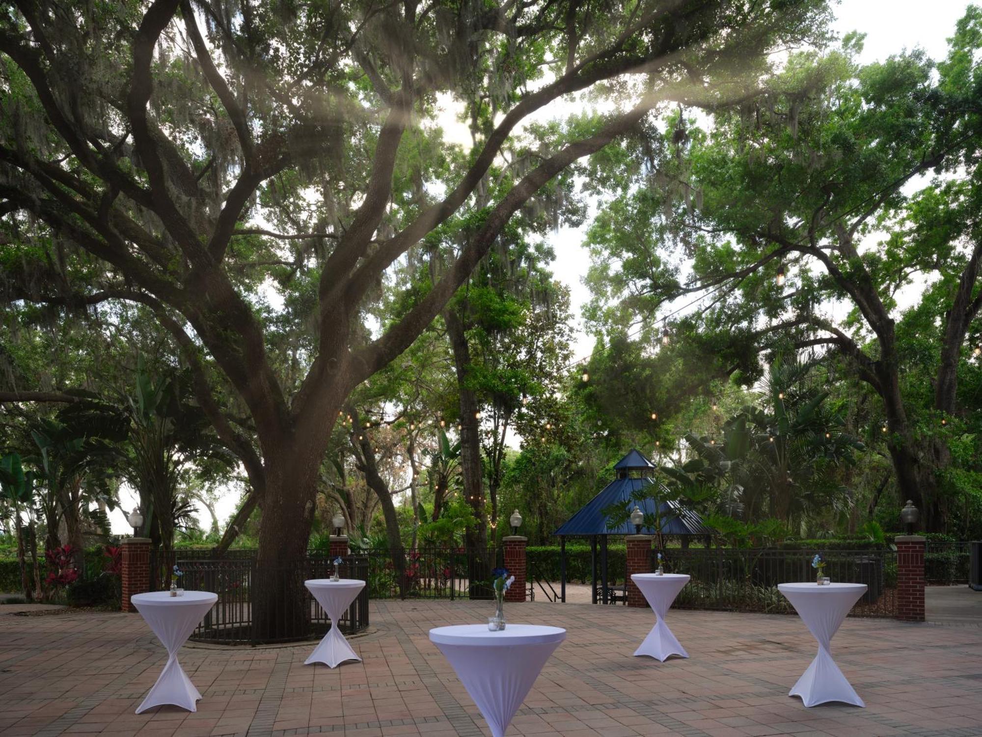 Hilton Garden Inn Tampa East Brandon Mango Экстерьер фото